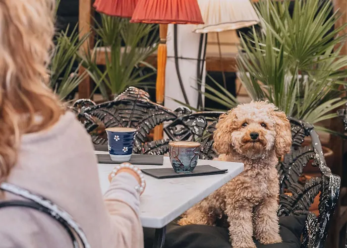 Story Hotel Stockholm Stureplan, In Jdv By Hyatt - un hotel a 4 stelle 